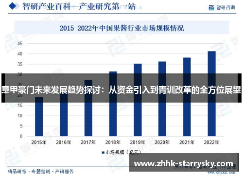 意甲豪门未来发展趋势探讨：从资金引入到青训改革的全方位展望
